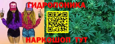 2c-b Кингисепп