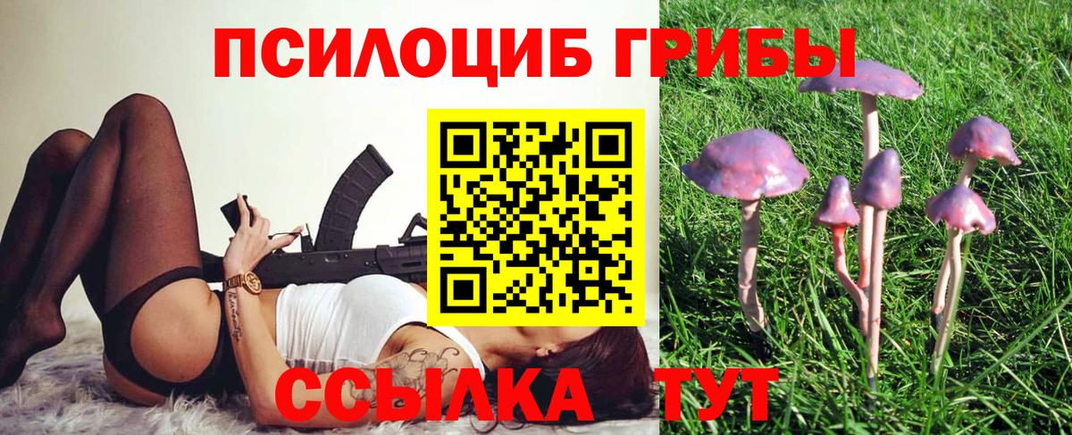 Галлюциногенные грибы ЛСД Кингисепп